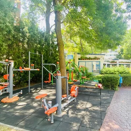 Bratanov Excelsior Daire *